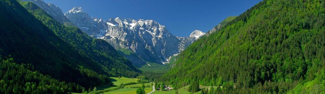 Logarska dolina