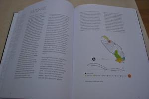 Izšla je nova knjiga o arheološkem najdišču Potočka zijavka