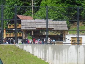 DSC08516